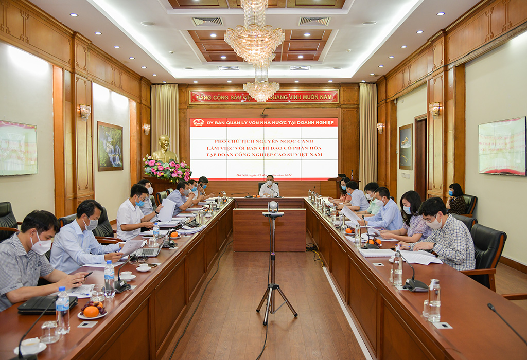 Đôn đốc hoàn thiện công tác cổ phần hóa Tập đoàn Công nghiệp Cao su Việt Nam