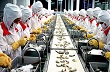 Nông, thủy sản Việt Nam đã có đối thủ cạnh tranh