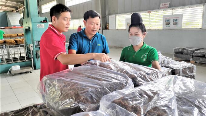 Xanh lại đất dốc Tây Bắc  Cao su Sơn La: 4 năm, sản lượng mủ tăng hơn 7 lần 