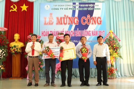 100% tổ đội Cao su Tây Ninh hoàn thành trước kế hoạch