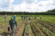 Đoàn Nông trường cao su Nhà Nai – Công ty CP CS Phước Hòa tổ chức nhiều hoạt động thiết thực, ý nghĩa