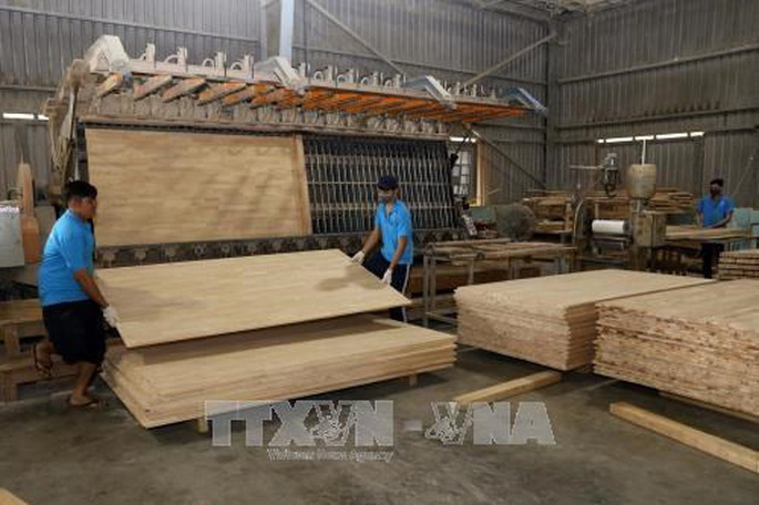 Thúc đẩy thực hành thương mại gỗ và sản phẩm gỗ có trách nhiệm