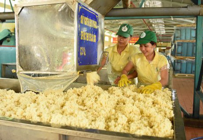 Xuất khẩu cao su sang Trung Quốc sụt giảm nhưng tỉ trọng vẫn tăng