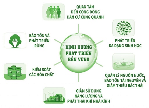 Cây cao su không phải là cây có hại với môi trường