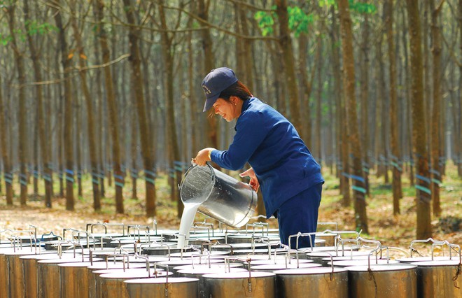 Vàng trắng lấy lại vị thế ngành hàng tỉ USD