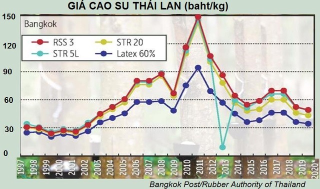 Triển vọng ảm đạm của ngành cao su Thái Lan