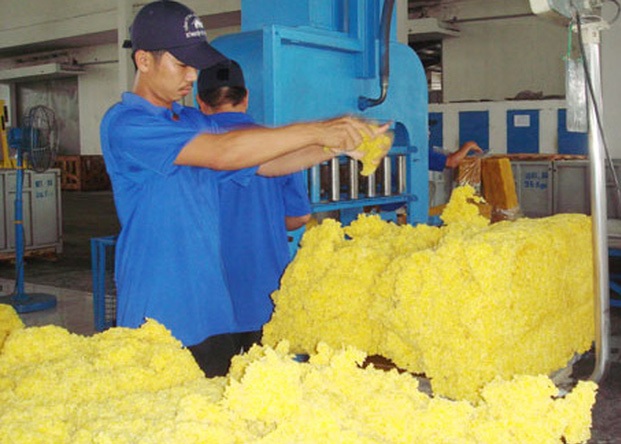 Việt Nam là thị trường cung cấp cao su lớn thứ 2 cho Trung Quốc trong 6 tháng đầu năm