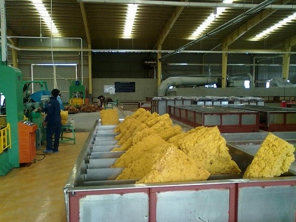 Xuất khẩu cao su Việt Nam sang thị trường Mỹ sẽ tiếp đà tăng
