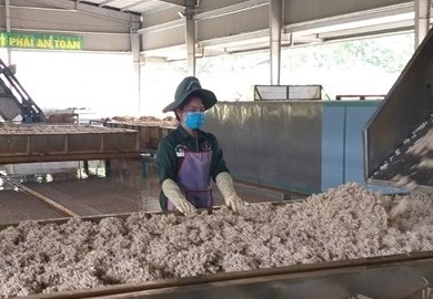 Phải đảm bảo an toàn cao nhất về phòng, chống dịch Covid-19