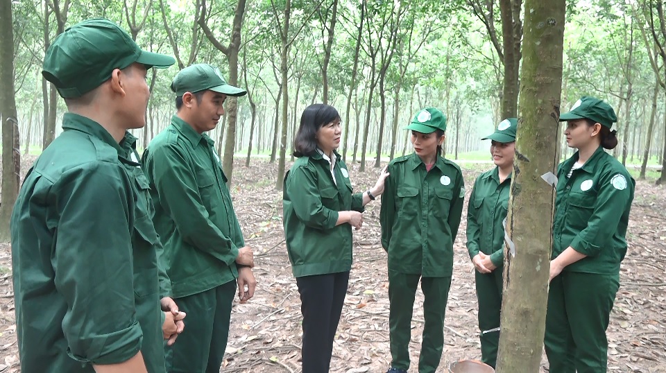 Cao su Dầu Tiếng: Giữ vững mục tiêu “công nhân giàu – công ty mạnh”