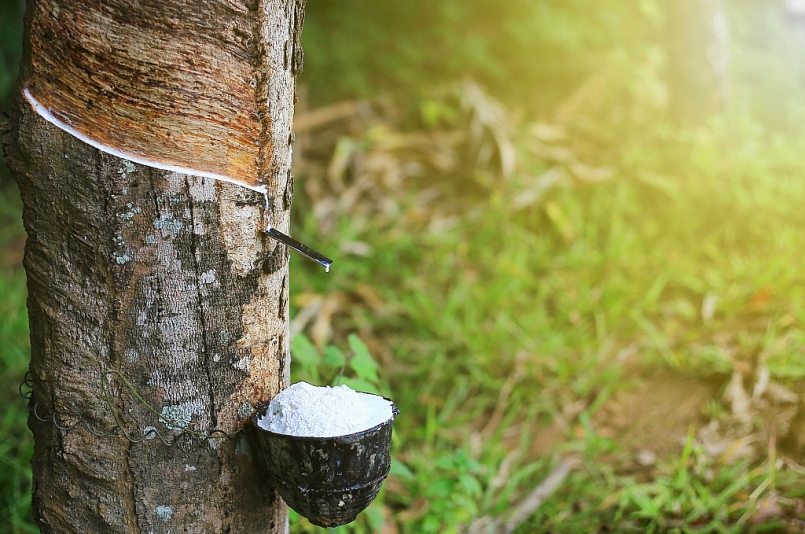 Một tập đoàn kinh doanh vàng trắng lãi cả ngàn tỉ