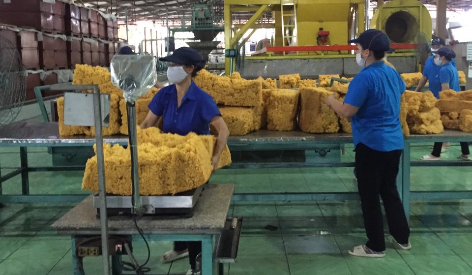Các công ty Đông Nam bộ có kết quả sản xuất kinh doanh tốt, thu nhập ổn định