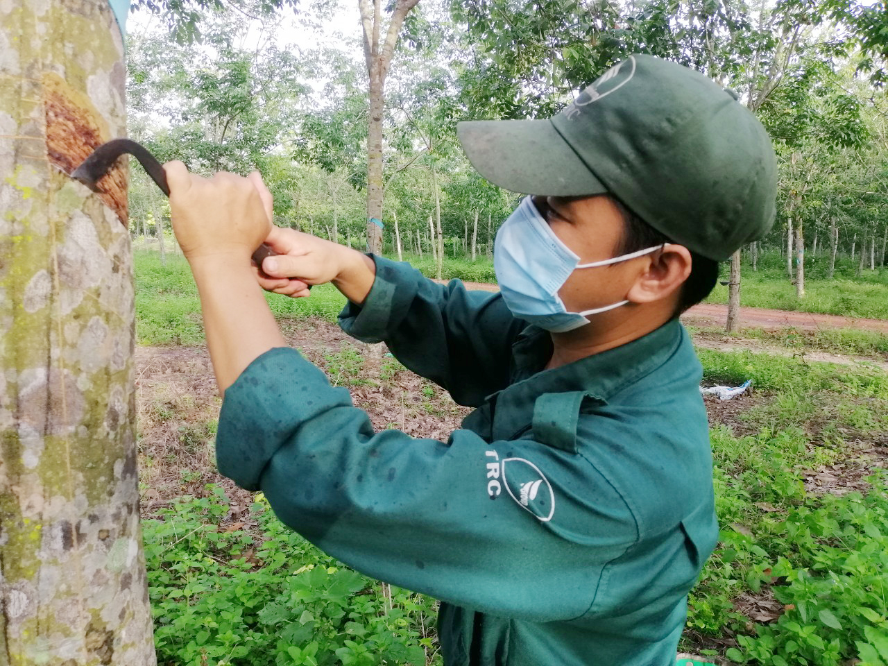 Nỗ lực hoàn thành sản lượng giữa nỗi lo Covid