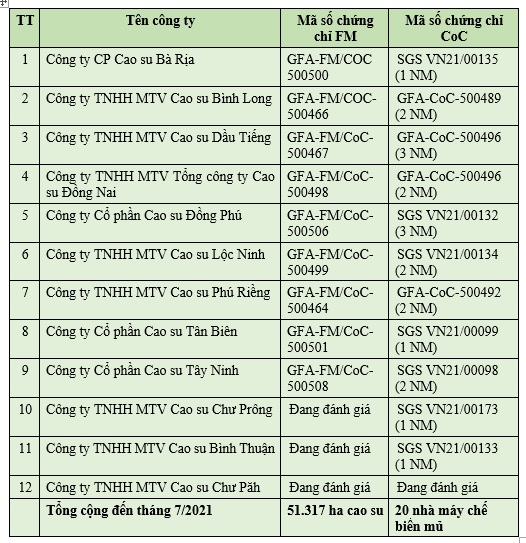 VRG tăng cường xây dựng phương án và thực hiện chứng chỉ về quản lý rừng cao su bền vững