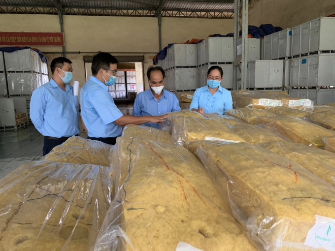 Cao Su Chư Prông phấn đấu hoàn thành xuất sắc mục tiêu kép 