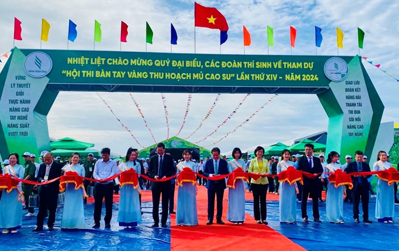 Hàng trăm thí sinh dự thi Bàn tay vàng thu hoạch mủ cao su lần thứ XIV 