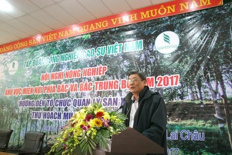 Đưa 2.800 ha cao su khu vực miền núi phía Bắc vào khai thác
