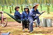 Phát huy truyền thống 3 thế hệ làm công nhân cao su