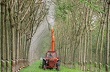 Giá bán cao su giảm 27,6%, DPR vẫn vượt kế hoạch lợi nhuận 