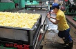 Cao su Bình Long: Giá bán bình quân đạt 32,74 triệu đồng/tấn