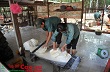 Hoạt động Công đoàn phải tạo lòng tin