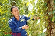 Giảm khó từ kinh tế phụ