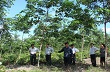 Nâng cao năng suất, đa dạng hóa thị trường xuất khẩu