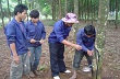 Kim ngạch thương mại Tây Nguyên với Đông Bắc Cam-pu-chia tăng