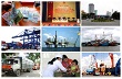 Cao su Đồng Nai: Đã có 3 nông trường về trước kế hoạch