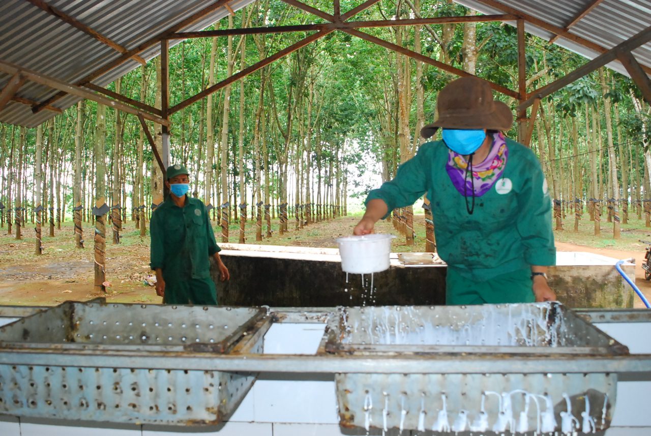 Kiên định thực hiện mục tiêu kép