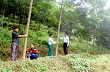 Ghi nhận ở nông trường cao su Anh Sơn 