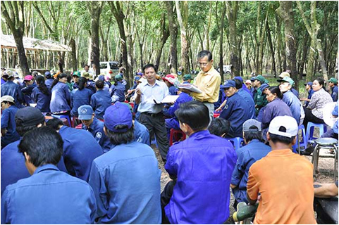 Quy chế đối thoại, đối thoại nơi làm việc, quan hệ lao động, nội dung đối thoại Tập đoàn Công nghiệp Cao su Việt Nam
