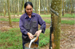 Đảng bộ Tổng Công ty Cao su Đồng Nai: Tập trung làm tốt công tác xây dựng Đảng