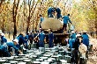 Gemandept sẽ trồng gần 10ha cao su tại Campuchia 