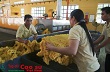 Giá cao su có phục hồi ?