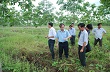 Tăng hiệu quả sử dụng đất tại vùng Ia Lâu, Ia Mơr