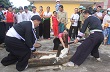 Xuân ấm no nơi ven trời Tây Bắc 