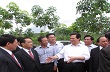 Thủ tướng Nguyễn Tấn Dũng thăm dự án phát triển cao su tại Nghệ An
