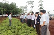 Sẽ có gói giải pháp kỹ thuật bổ sung Quy trình Kỹ thuật 2012