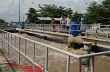 Cao su Quảng Nam: Nhiều sáng kiến làm lợi hàng chục tỷ