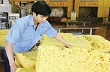 Cổ phiếu cao su Phước Hòa thu hút nhà đầu tư dài hạn