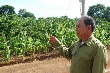 “Mong lớp trẻ hiểu được lợi ích lâu dài khi làm công nhân cao su”