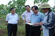 7 giải pháp cho các công ty Tây Nguyên trong năm 2015