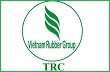Cao su Tây Ninh chốt quyền trả cổ tức bằng tiền mặt đợt 1 năm 2013 tỷ lệ 15%