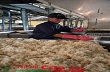Xuất khẩu cao su qua Trung Quốc chiếm tỉ lệ 56%