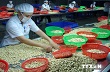 Việt Nam đẩy mạnh liên kết xuất nhập khẩu trước thềm ASEAN +