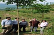Cây cao su góp phần nâng cao thu nhập cho người dân Yên Bái