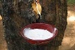 TT cao su châu Á ngày 6/10/2018: Giá tại Tokyo giảm do hoạt động bán ra chốt lời