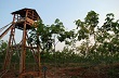 Cao điểm mùa chống cháy