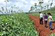 Đề tài nghiên cứu khoa học phải xuất phát từ thực tiễn sản xuất